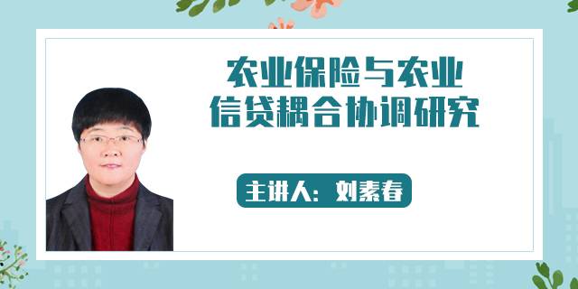 农业保险与农业信贷耦合协调研究