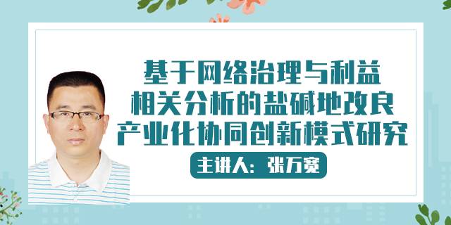 基于网络治理与利益相关分析的盐碱地改良产业化协同创新模式研究