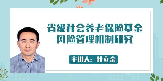 省级社会养老保险基金风险管理机制研究