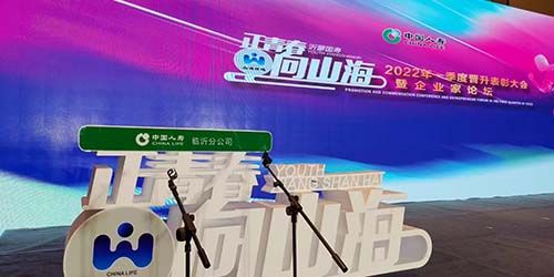 临沂国寿表彰大会