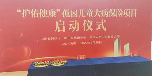 护佑健康孤困儿童大病保险项目启动仪式