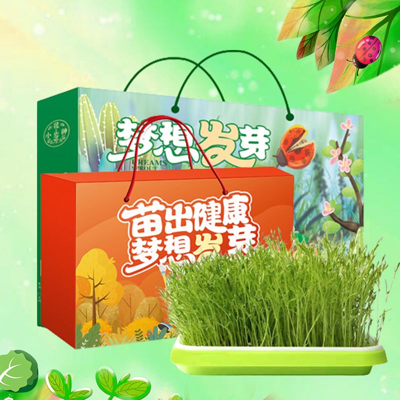 体验种植乐趣-让梦想发芽礼盒