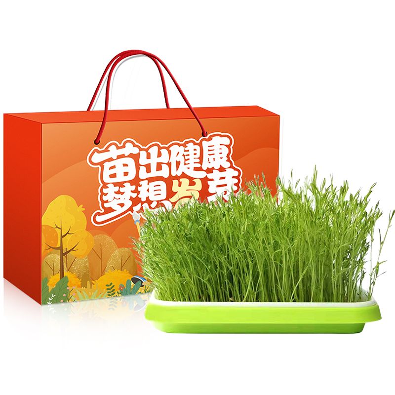 体验种植乐趣-让梦想发芽礼盒