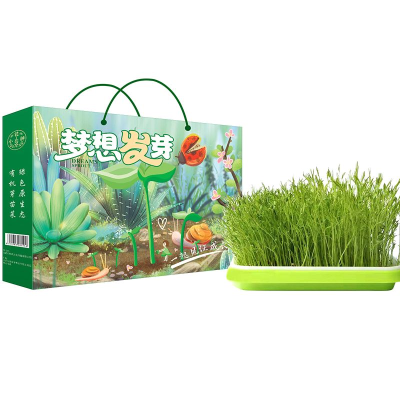 体验种植乐趣-让梦想发芽礼盒
