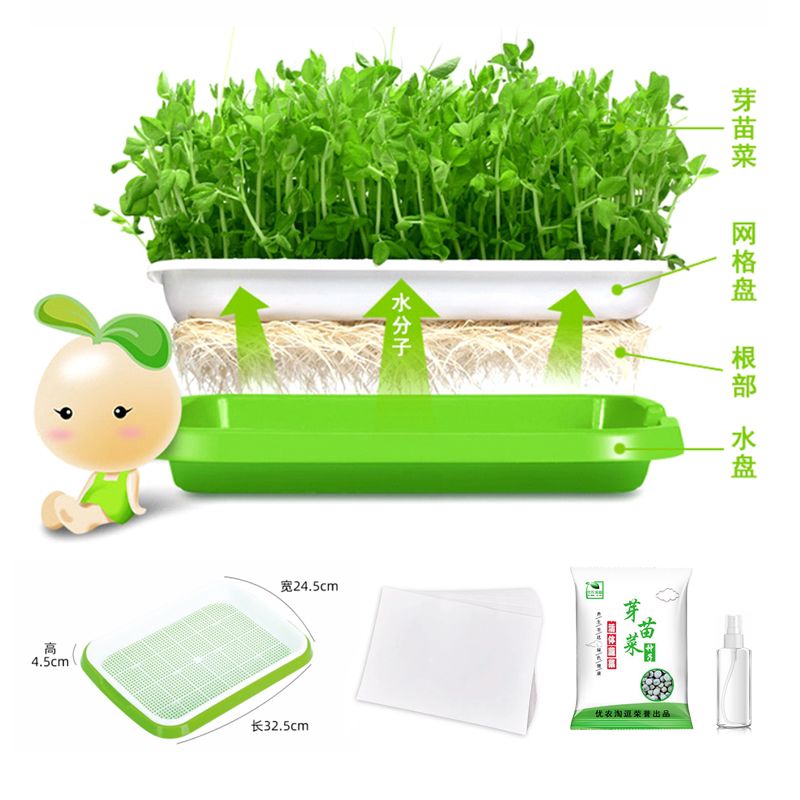 体验种植乐趣-让梦想发芽礼盒