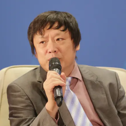 胡锡进 讲师照片